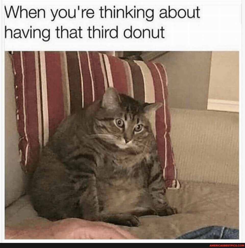 When you're thinking about having that third donut