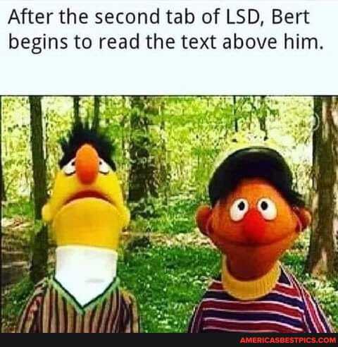After the second tab of LSD, Bert begins to read the text above him.