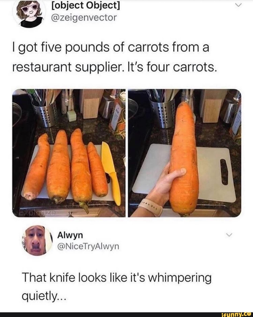 I got five pounds of carrots from a
restaurant supplier. It's four carrots.
g Alwyn
That knife looks like it's whimpering
quietly...
