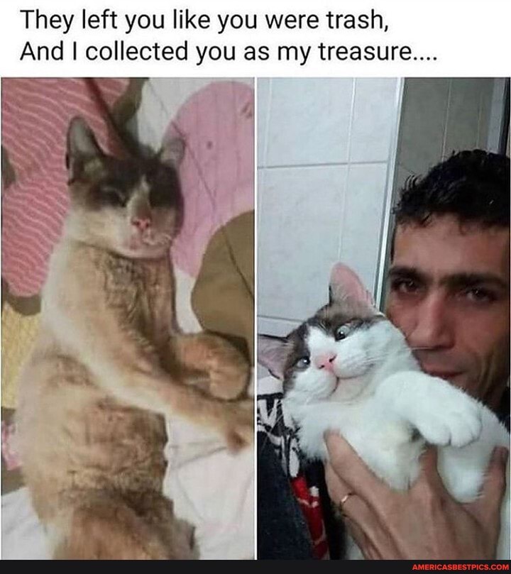 They left you like you were trash,
And collected you as my treasure...