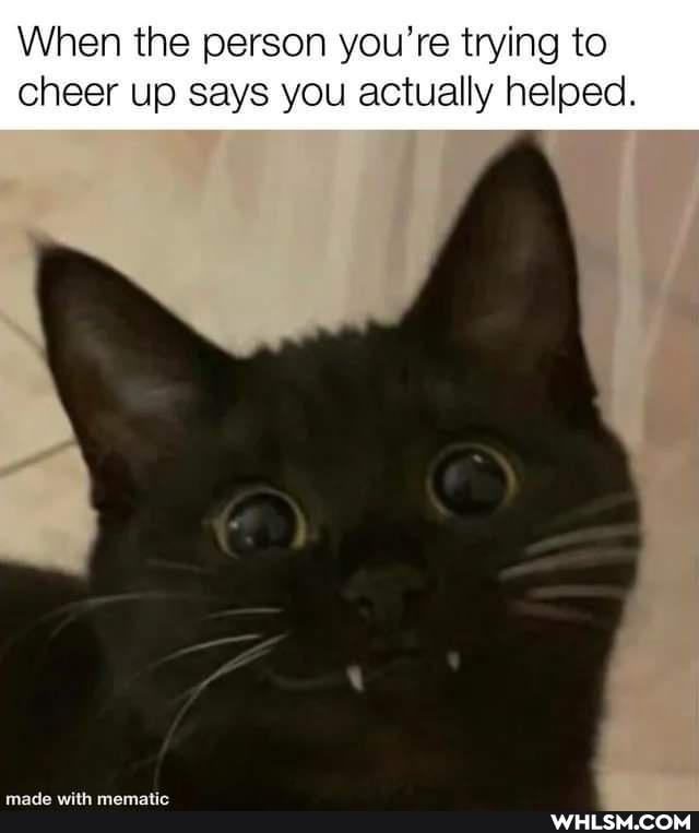 When the person you're trying to cheer up says you actually helped.