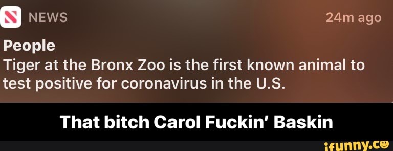People
Tiger at the Bronx Zoo is the first known animal to
test positive for coronavirus in the U.S.
That bitch Carol Fuckin' Baskin - That bitch Carol Fuckin’ Baskin