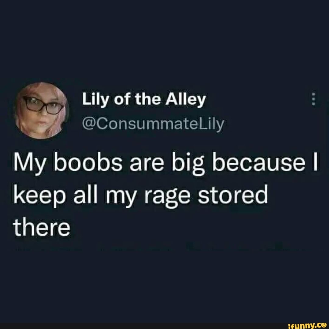 Lily of the Alley Consummate Lily My boobs are big because I keep all