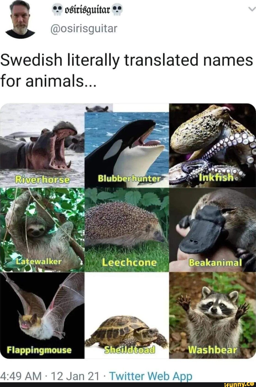 Swedish literally translated names for animals... Leechcone 