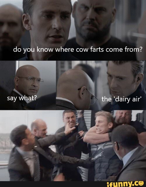 Do you know where cow farts come from? say what? the 'dairy air' iFunny