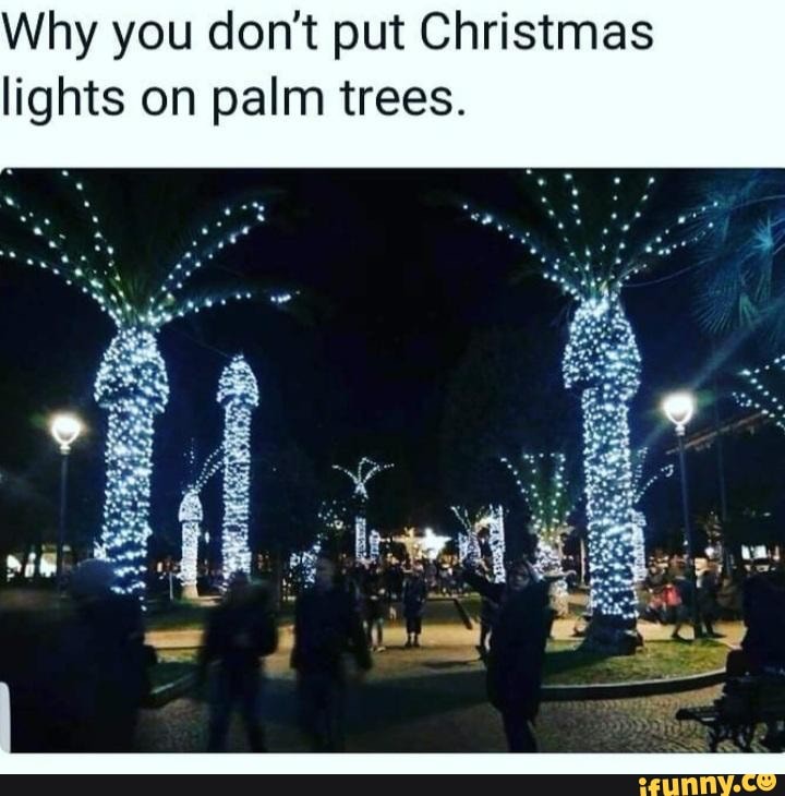 Why you don't put Christmas lights on palm trees. BS iFunny