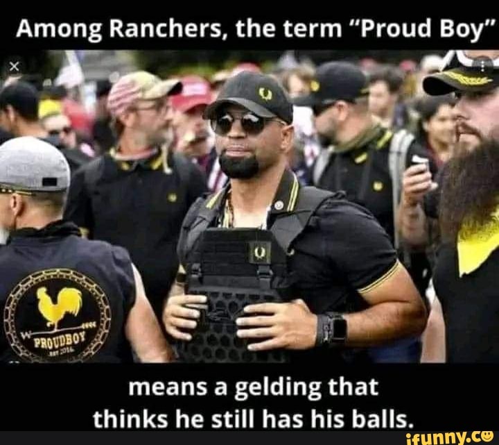 Among Ranchers The Term Proud Boy Means Gelding That Thinks He Still 