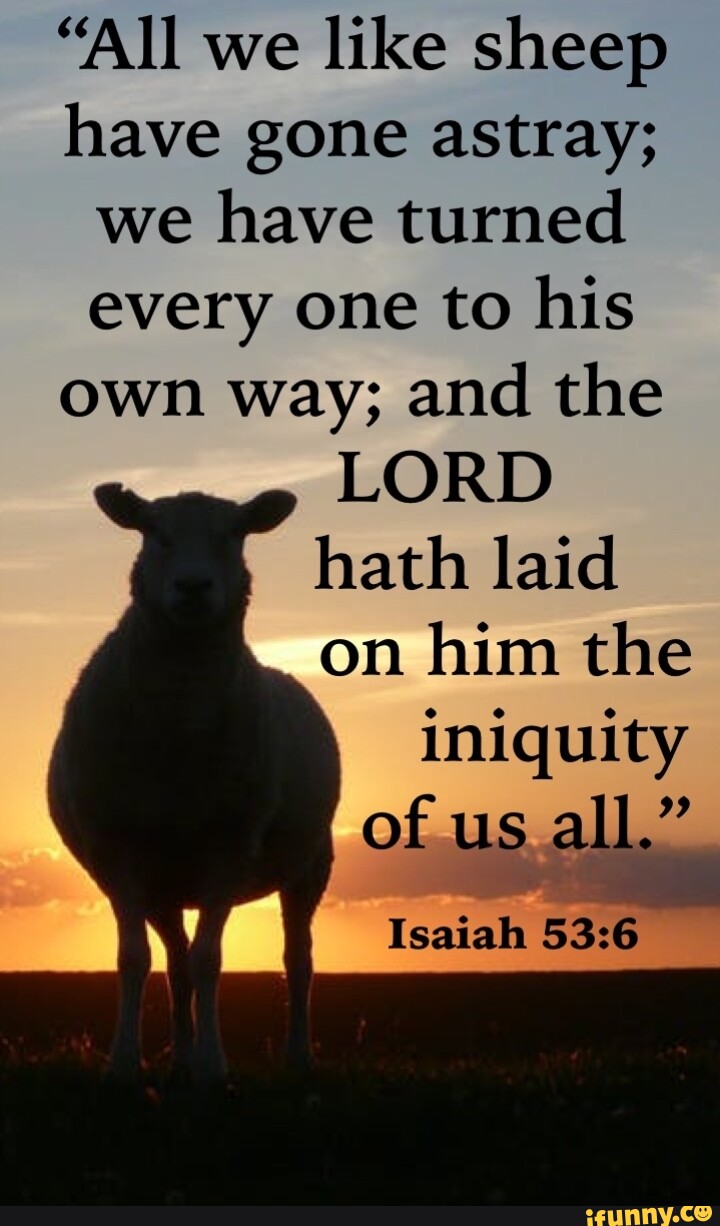 "All we like sheep have gone astray; we have turned every one to his