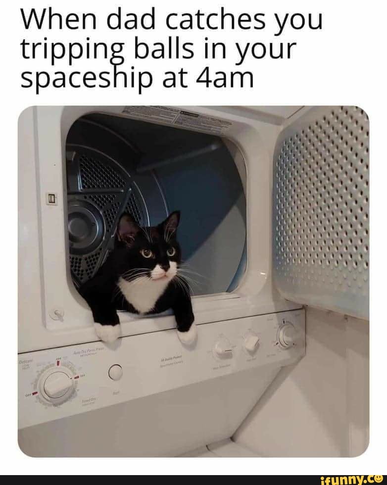 When dad catches you
tripping balls in your
Spaceship at 4am