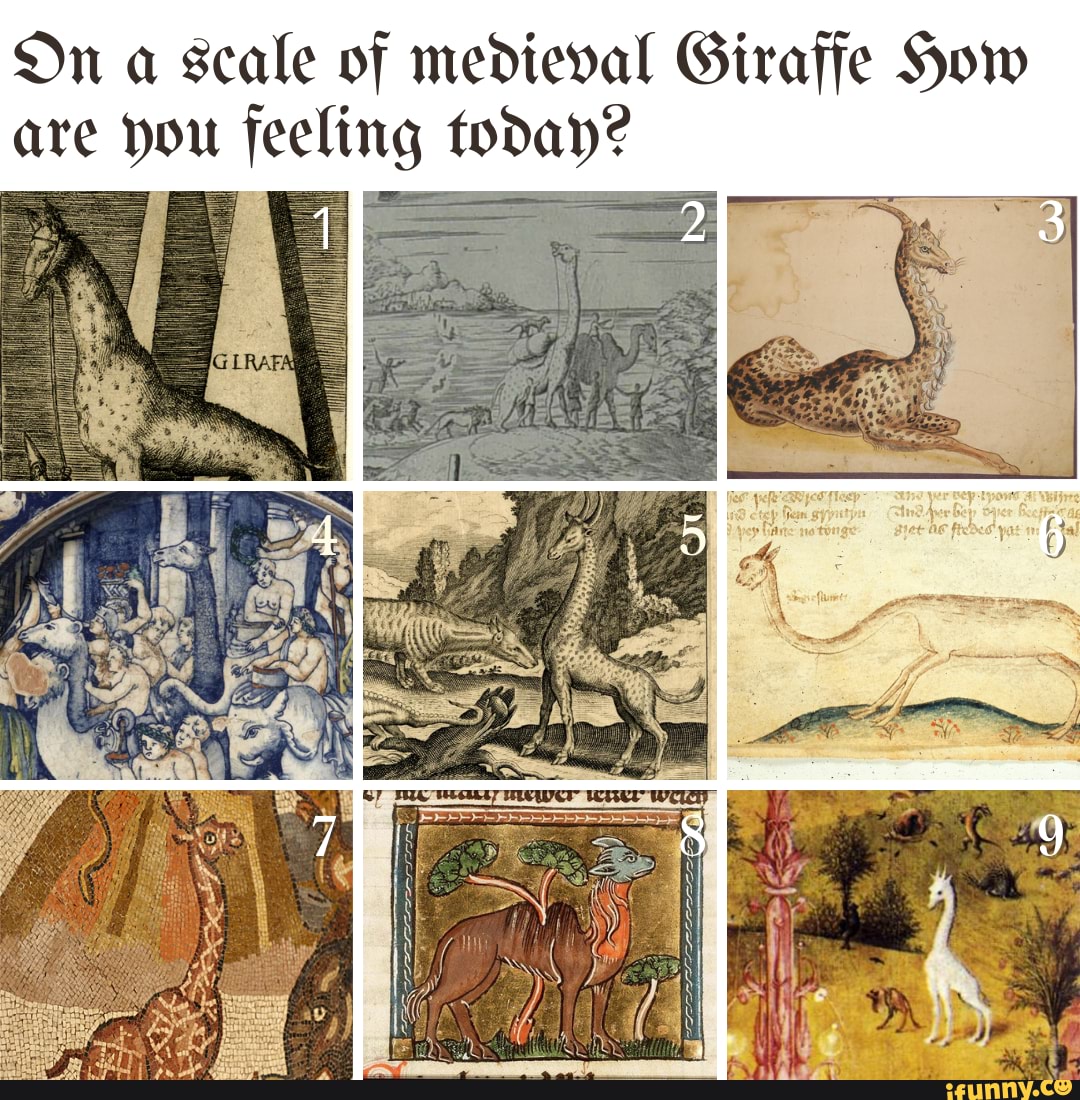 On A Scale Of Medieval Giraffe How Are You Feeling Today