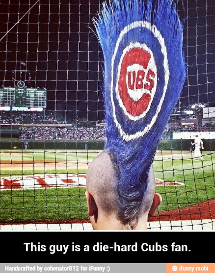 hard Cubs fan. This guy is a die: - This guy is a die-hard Cubs fan.