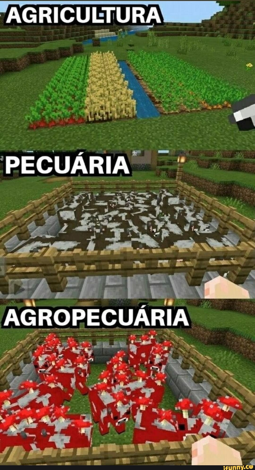 DA
PECUÁRIA
PRO.
Pedi
AG
pia