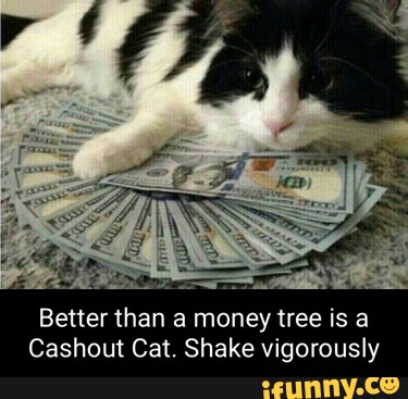 Moneytree memes. Best Collection of funny Moneytree pictures on iFunny