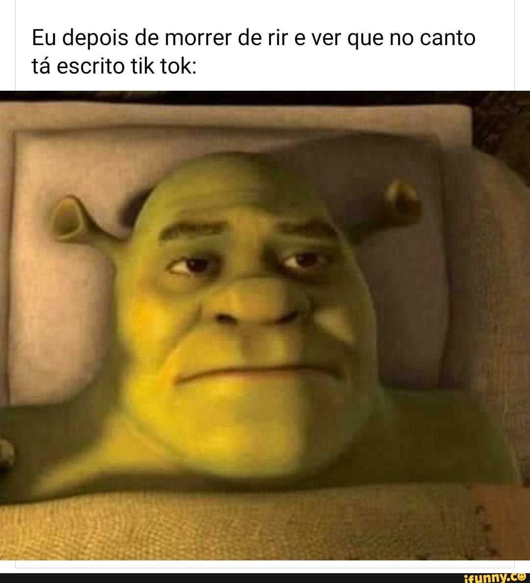 Eu depois de morrer de rir e ver que no canto
tá escrito tik tok: