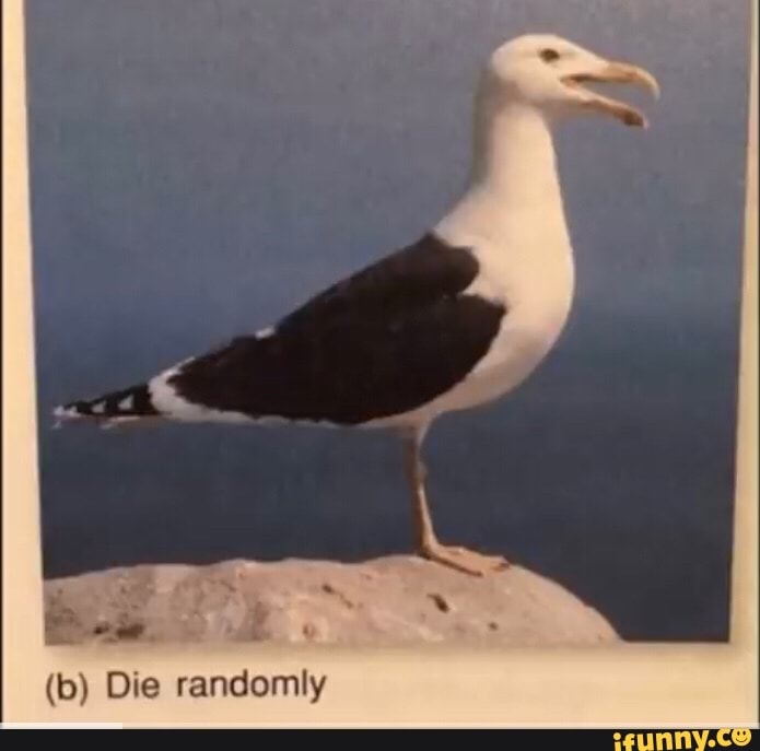 (b) Die Randomly - IFunny