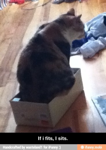 i - If i fits, I sits.