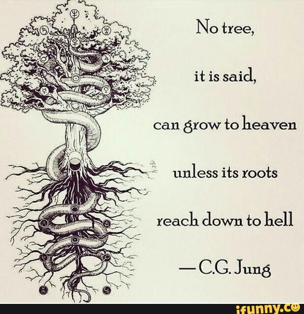 no tree it is said can grow