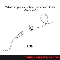 do bee shar comes