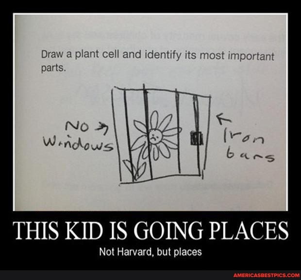 Draw a plant cell and identify its most important parts.
THIS KID IS GOING PLACES
Not Harvard, but places
