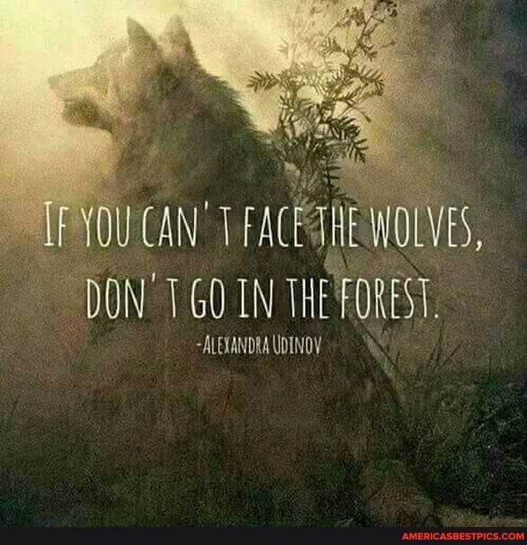 YOU CAN'T DON INT
THE
