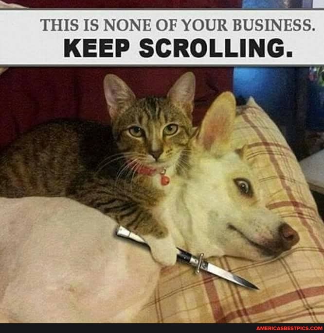 THIS IS NONE OF YOUR BUSINESS.
KEEP SCROLLING.
if