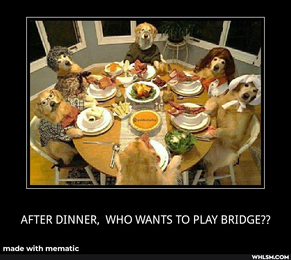 AFTER DINNER, WHO WANTS TO PLAY BRIDGE??