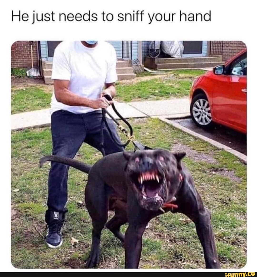 He just needs to sniff your hand