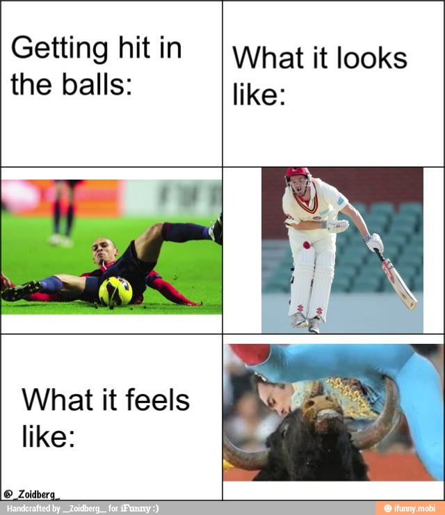Getting hit in
the balls:
What it looks
like:
like:
What it feels