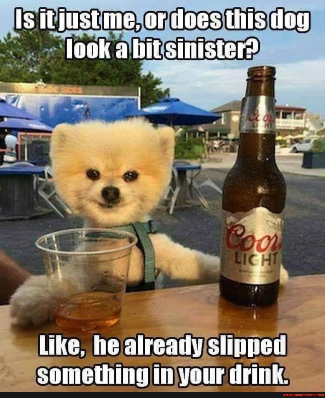 Is
Like, he already something drink: