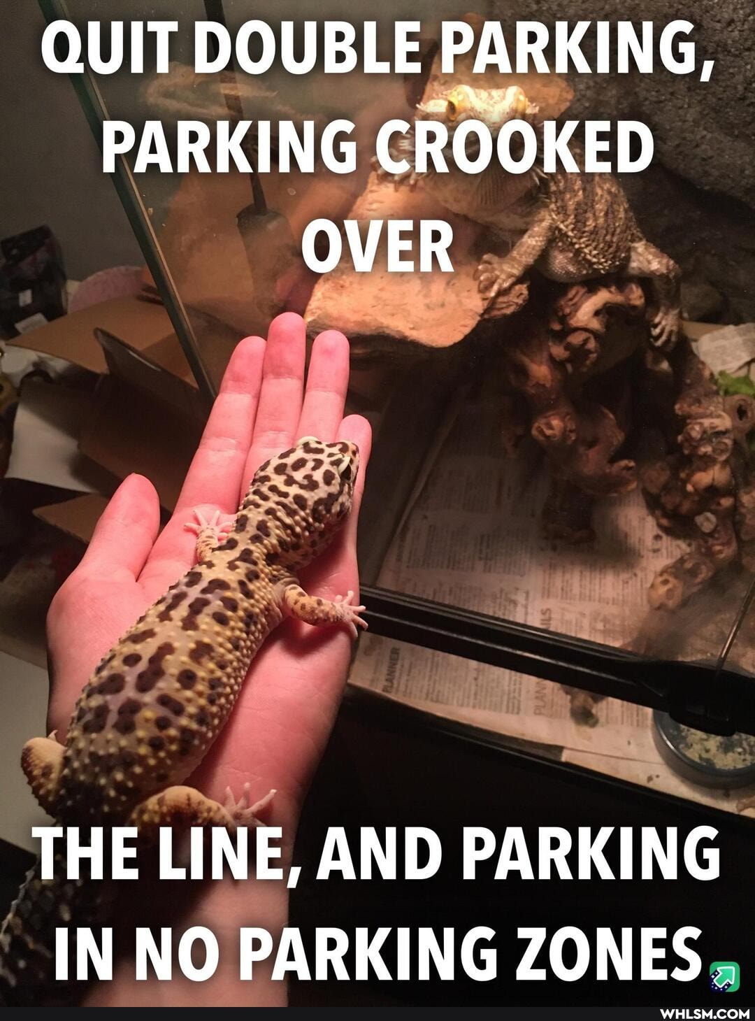 QUIT DOUBLE PARKING,
PARKING CROOKED OVER
THE LINE, AND PARKING IN NO PARKING ZONES.