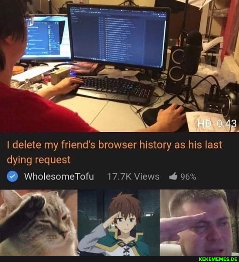 I delete my friend's browser history as his last dying request
WholesomeTofu 17.7K Views 96%