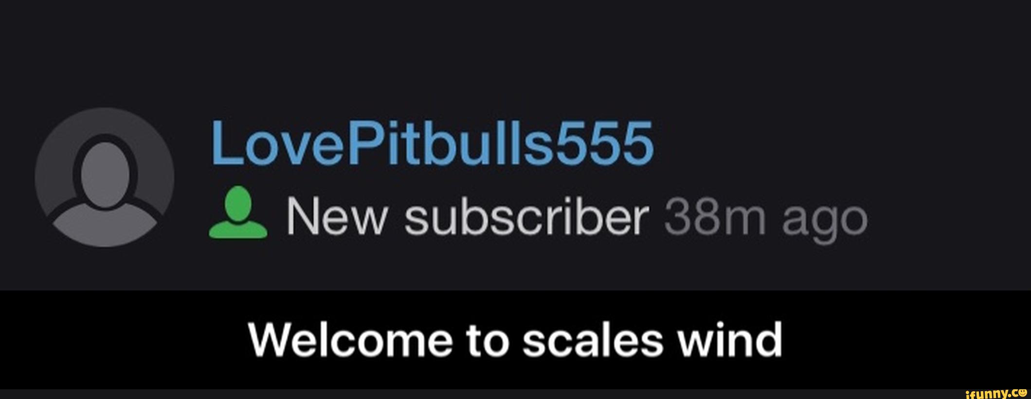 c2a2322fe153ad3de1994967e1139ad072529fd image