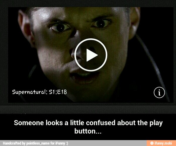 Someone looks a little confused about the play - Someone looks a little confused about the play button...