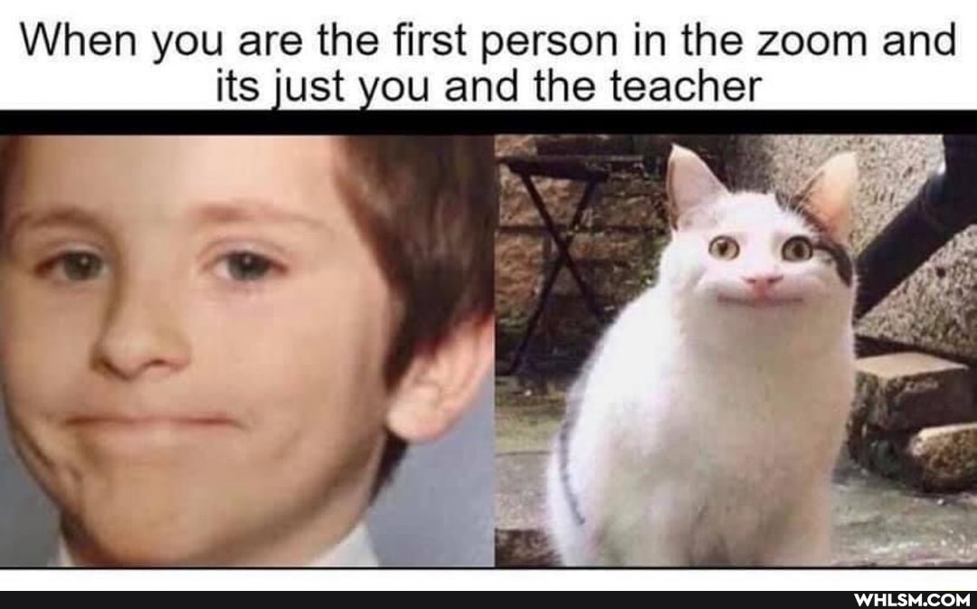 When you are the first person in the zoom and its just you and the teacher