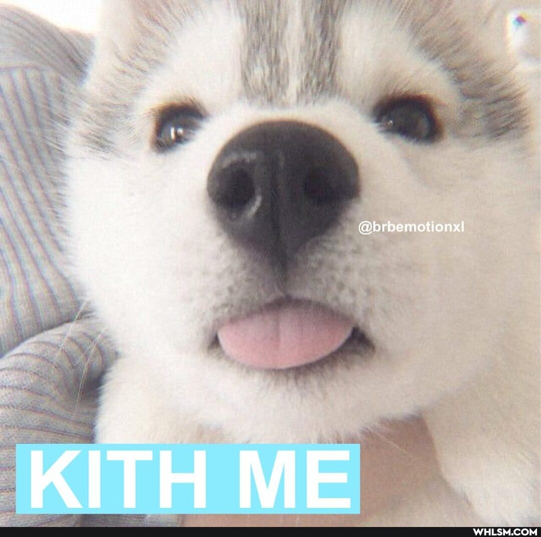 KITH ME
@brbemotionxl