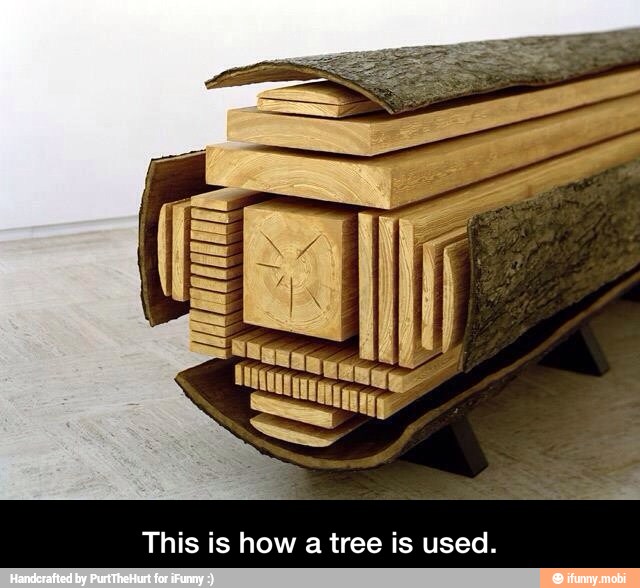 This is how a tree is used. - This is how a tree is used.