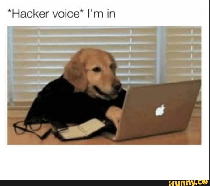 Hacker Voice I M In Ifunny