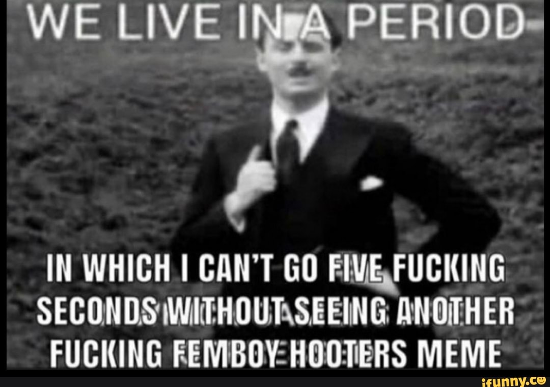 IN WHICH I CAN'T GO FIVE,FUGKING
SECONDS WITHOUTSEEING ANOTHER
FUCKING FEMBOY-HOOTERS MEME