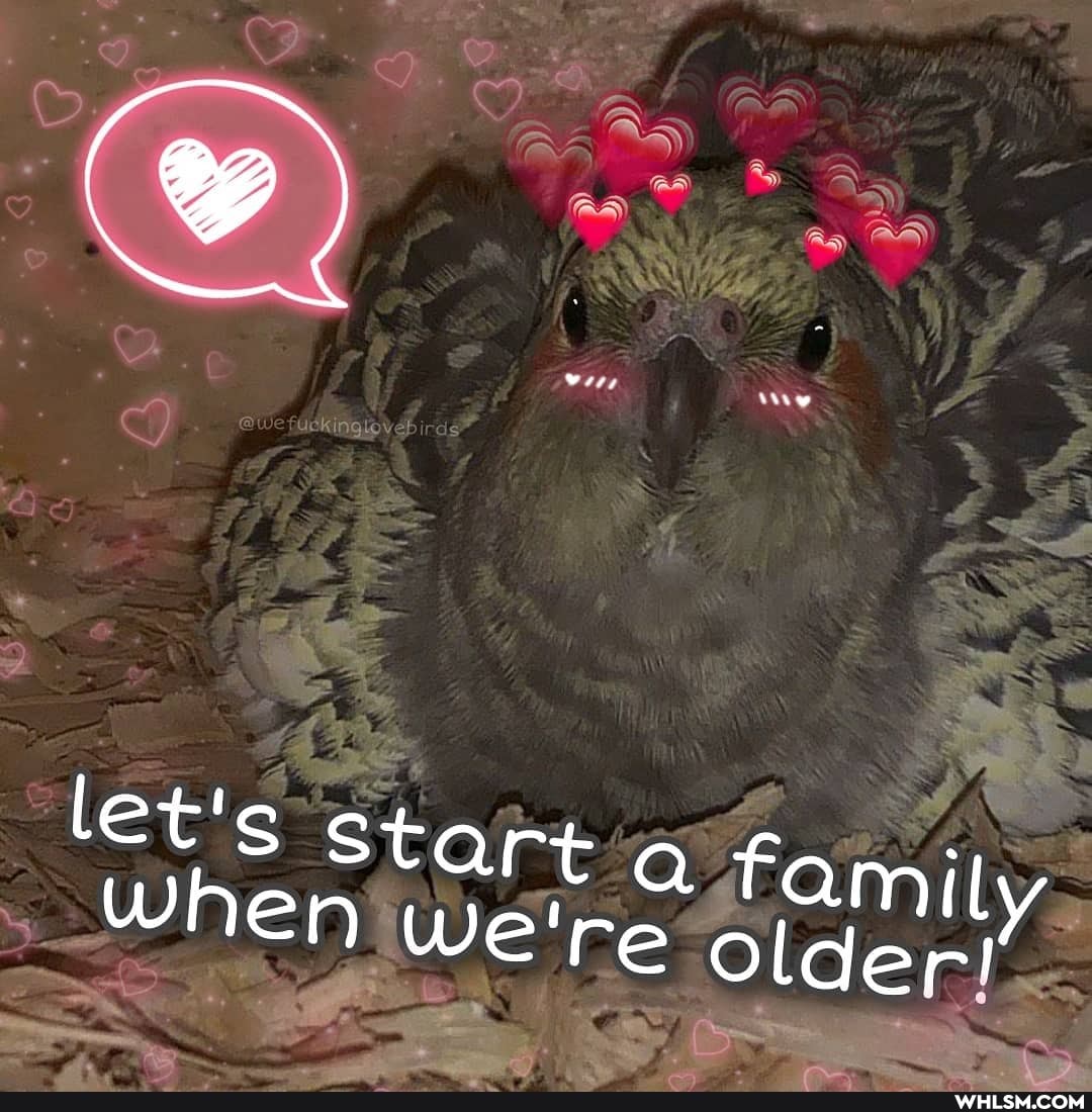 let's Start We're family