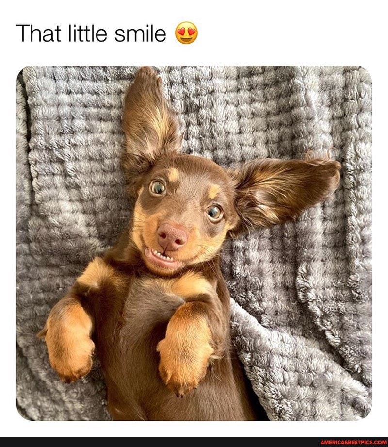 That little smile