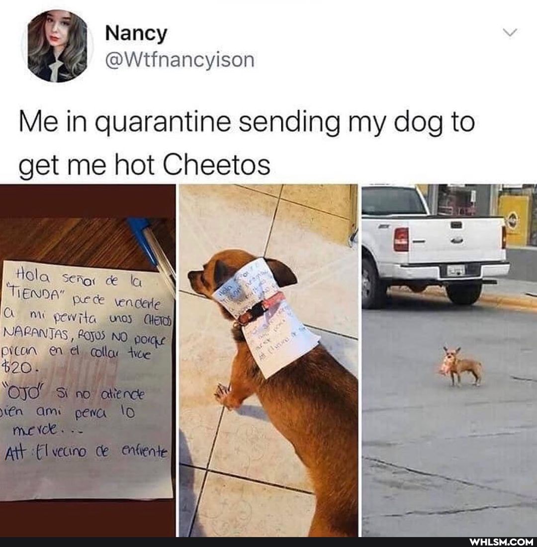 Naney
Me in quarantine sending my dog to get me hot Cheetos
Hola Seig ce pre ce \en dere
Cm pewrta
NAPRANTA: