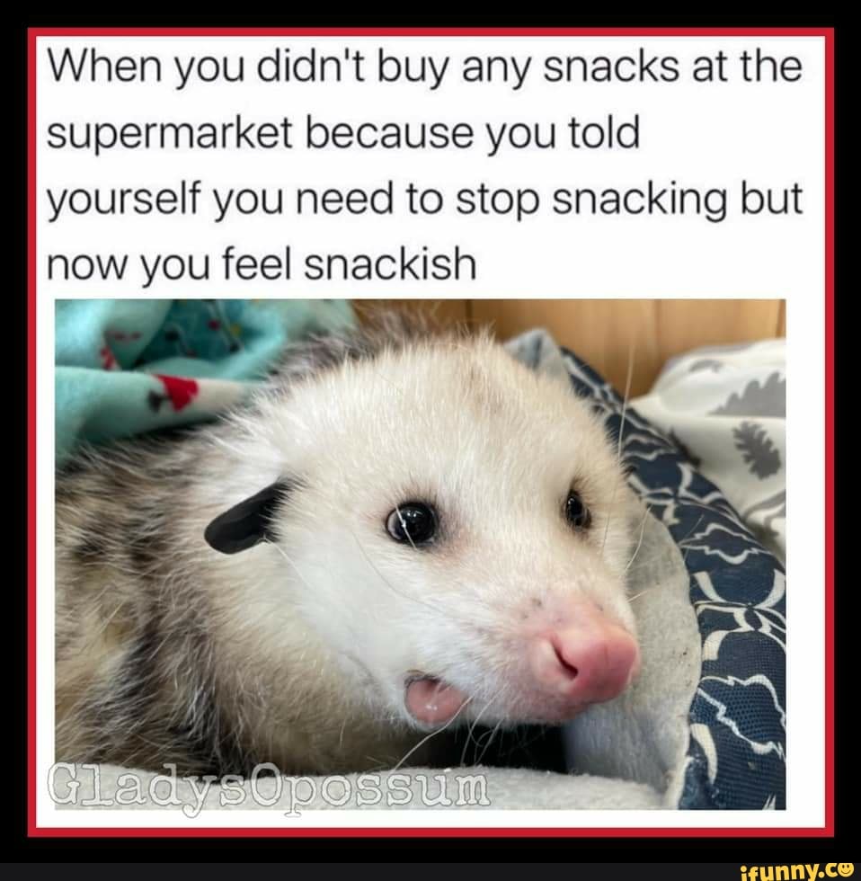 When you didn't buy any snacks at the supermarket because you told yourself you need to stop snacking but now you feel snackish
TS