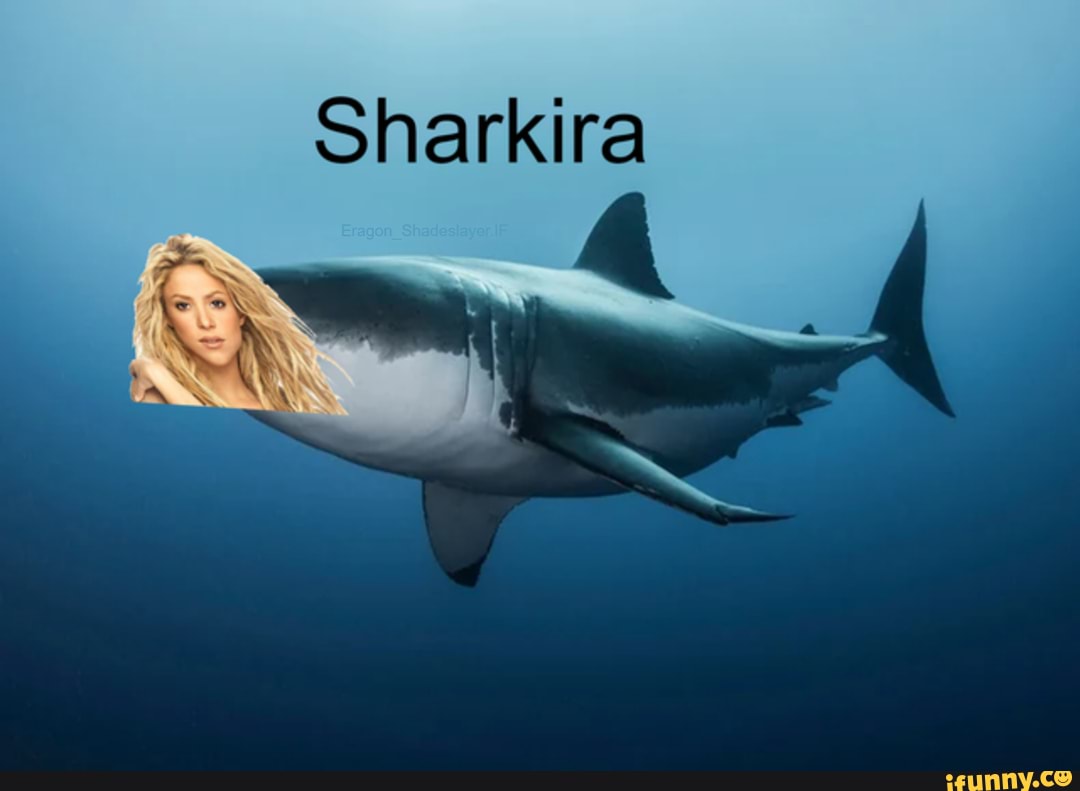 Sharkira
Al
