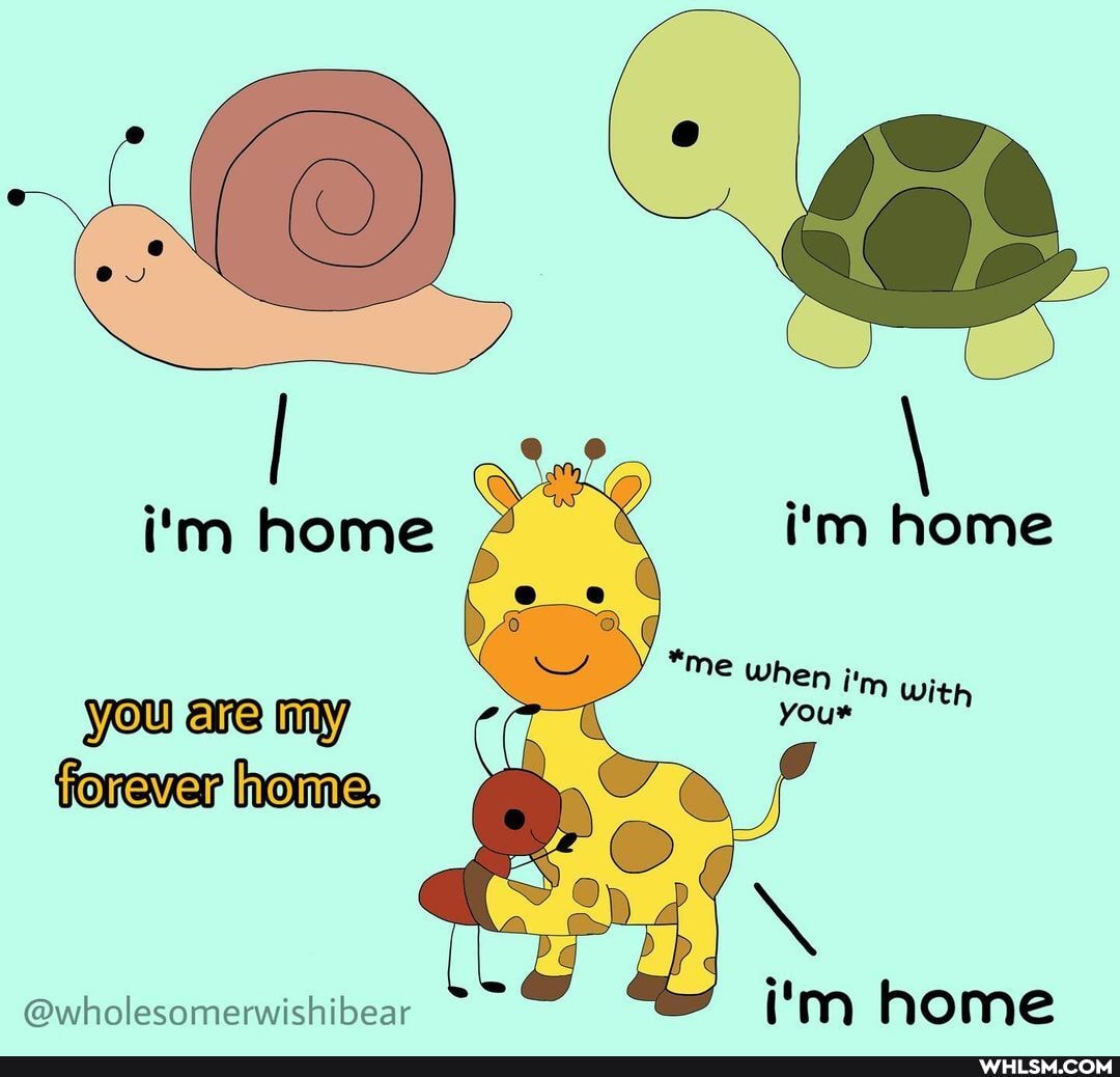 i'm home
i'm home
*me
When i'm With your
you are my
forever home.
@wholesomerwishibear i'm home