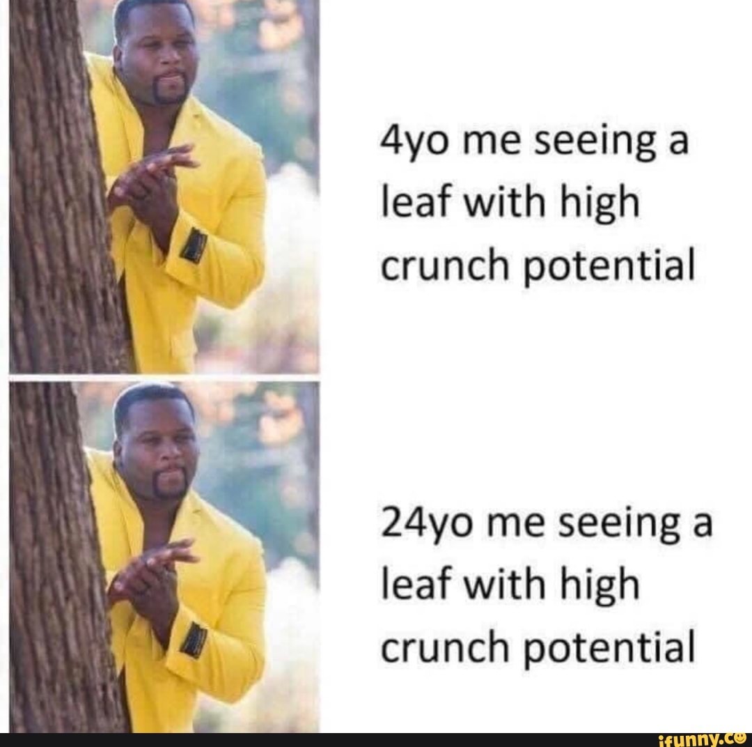 4yo me seeing a
leaf with high
crunch potential
24yo me seeing a
leaf with high
crunch potential