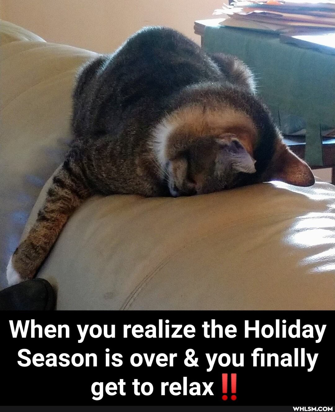 When you realize the Holiday
Season is over & you finally get to relax Ul - When you realize the Holiday Season is over & you finally get to relax‼️