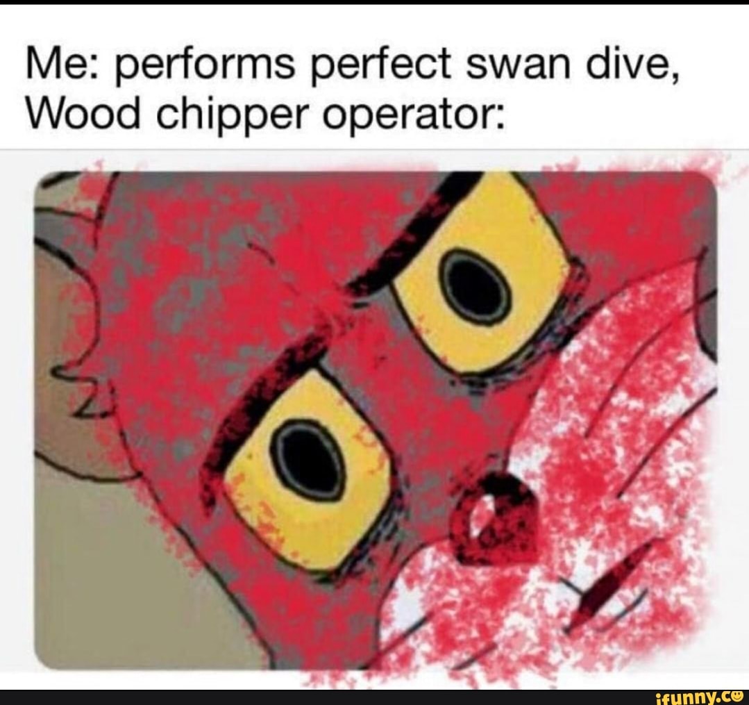 Me: performs perfect swan dive,
Wood chipper operator: