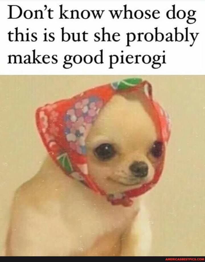 Don't know whose dog this is but she probably
makes good pierogi