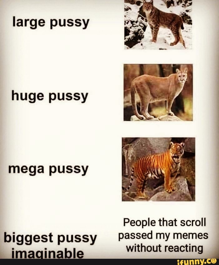 The Worlds Biggest Pussy