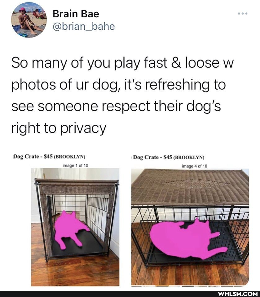 So many of you play fast & loose w photos of ur dog, it's refreshing to see someone respect their dog's right to privacy
Dog Crate - $45 (BROOKLYN) Dog Crate - $45 (BROOKLYN) of 10 image 1 of 10